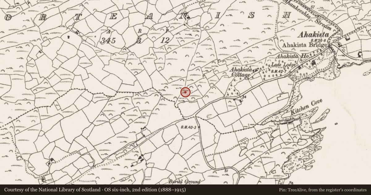 Ordnance Survey six-inch map, 2nd edition (1888–1915) covering the location of Boulder-burial, Gorteanish, County Cork, with a pin at the register's coordinates