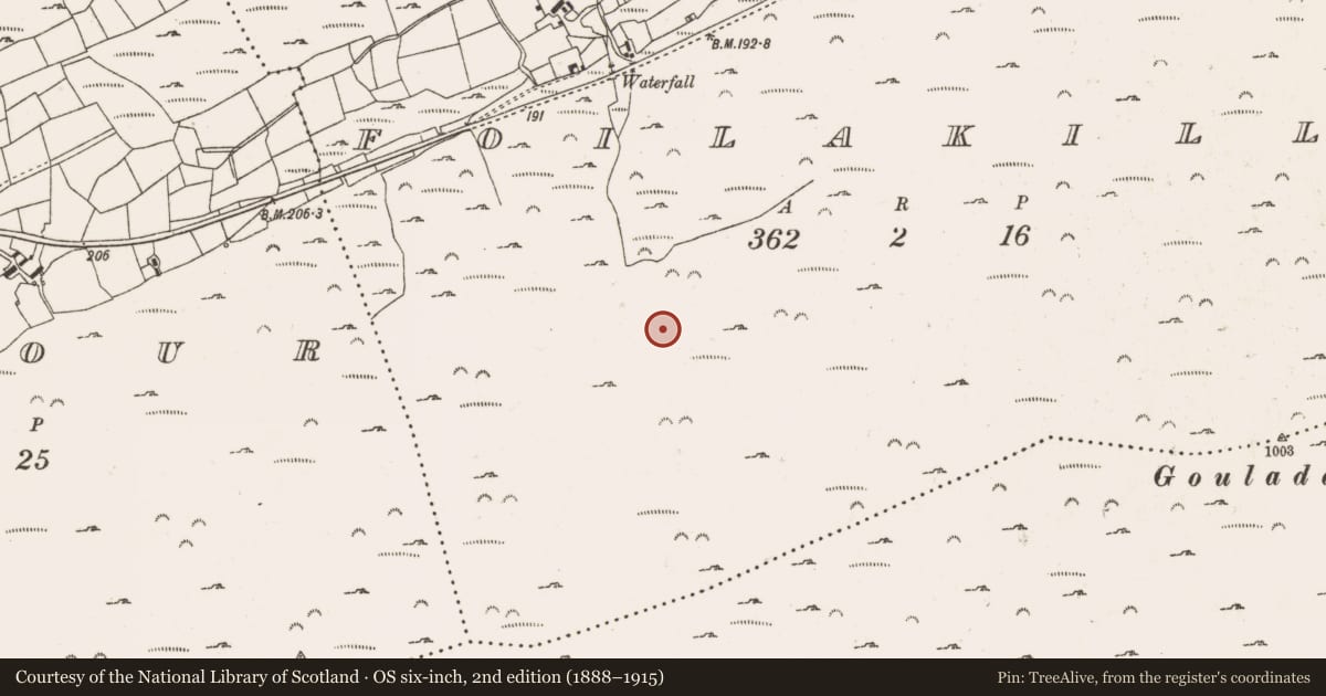 Ordnance Survey six-inch map, 2nd edition (1888–1915) covering the location of Hut site, Foilakilly, County Cork, with a pin at the register's coordinates