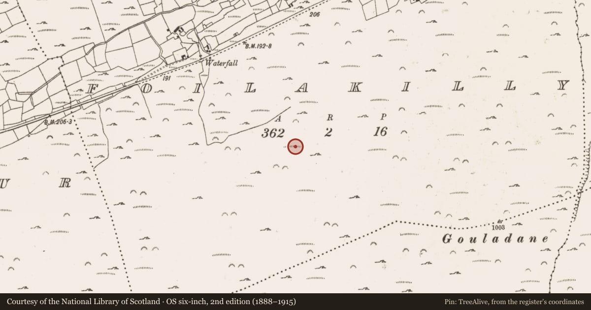 Ordnance Survey six-inch map, 2nd edition (1888–1915) covering the location of Hut site, Foilakilly, County Cork, with a pin at the register's coordinates