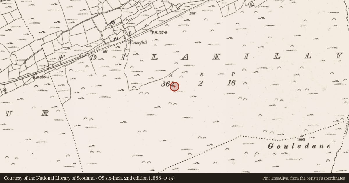 Ordnance Survey six-inch map, 2nd edition (1888–1915) covering the location of Hut site, Foilakilly, County Cork, with a pin at the register's coordinates