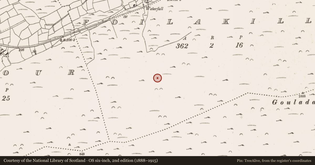 Ordnance Survey six-inch map, 2nd edition (1888–1915) covering the location of Enclosure, Foilakilly, County Cork, with a pin at the register's coordinates