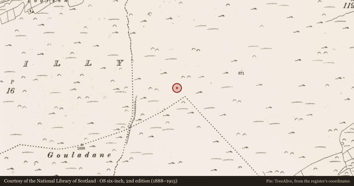 Ordnance Survey six-inch map, 2nd edition (1888–1915) covering the location of Hut site, Glanlough (Carbery West (W.D) By., Kilcrohane Par.), County Cork, with a pin at the register's coordinates