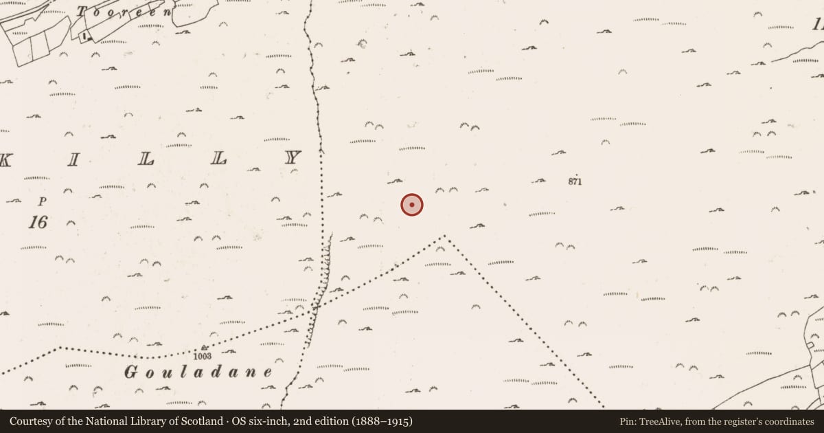 Ordnance Survey six-inch map, 2nd edition (1888–1915) covering the location of Hut site, Glanlough (Carbery West (W.D) By., Kilcrohane Par.), County Cork, with a pin at the register's coordinates