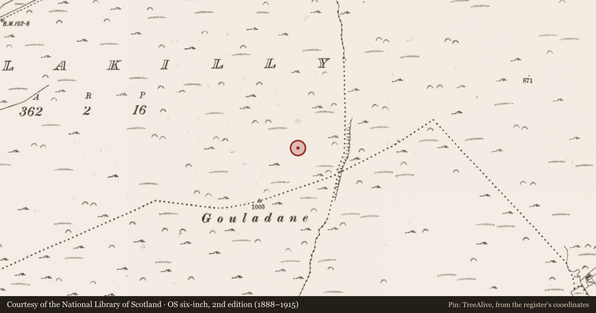 Ordnance Survey six-inch map, 2nd edition (1888–1915) covering the location of Hut site, Foilakilly, County Cork, with a pin at the register's coordinates