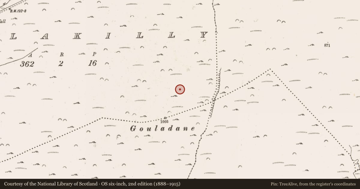 Ordnance Survey six-inch map, 2nd edition (1888–1915) covering the location of Hut site, Foilakilly, County Cork, with a pin at the register's coordinates