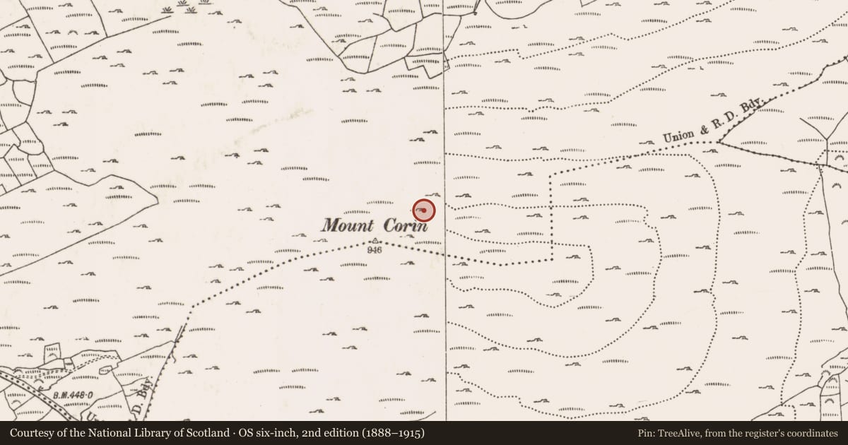 Ordnance Survey six-inch map, 2nd edition (1888–1915) covering the location of Hut site, Coolcoulaghta, County Cork, with a pin at the register's coordinates