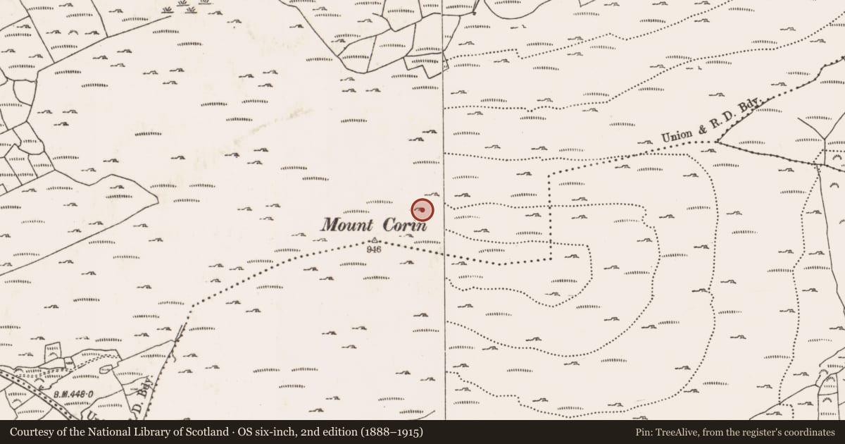 Ordnance Survey six-inch map, 2nd edition (1888–1915) covering the location of Hut site, Coolcoulaghta, County Cork, with a pin at the register's coordinates