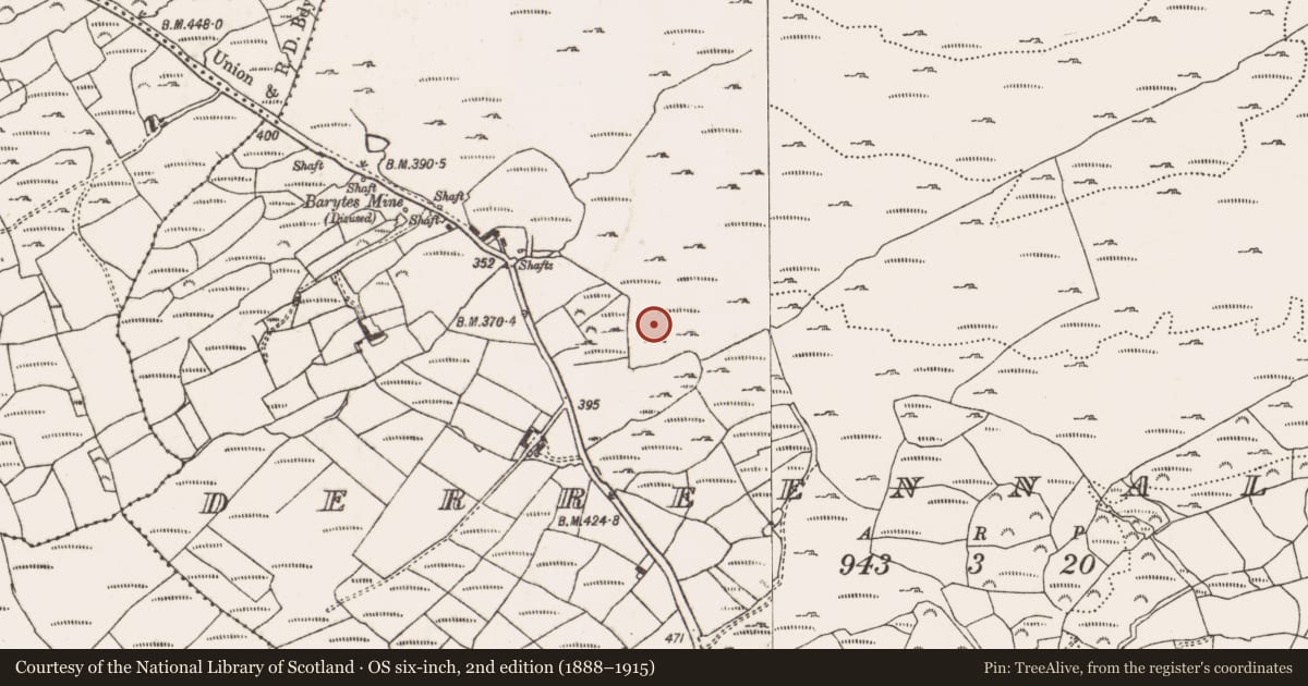 Ordnance Survey six-inch map, 2nd edition (1888–1915) covering the location of Mine - copper, Derreennalomane, County Cork, with a pin at the register's coordinates