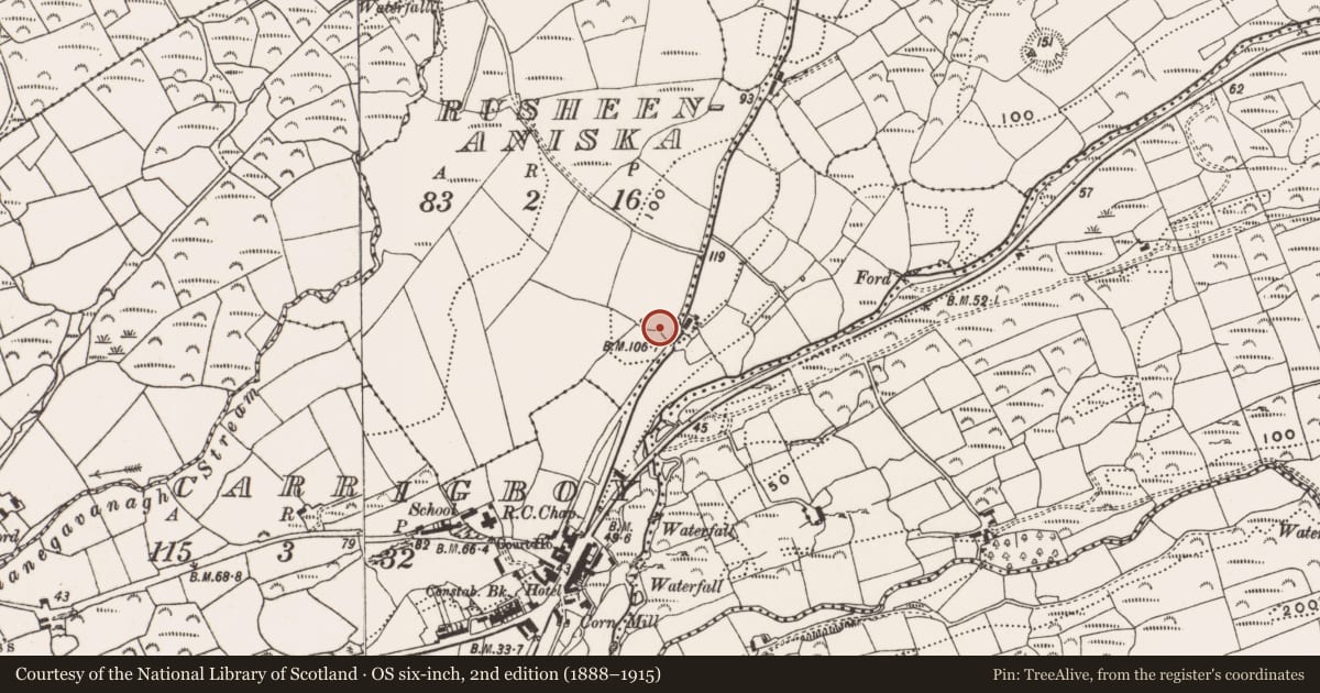 Ordnance Survey six-inch map, 2nd edition (1888–1915) covering the location of Ringfort - rath, Rusheenaniska, County Cork, with a pin at the register's coordinates