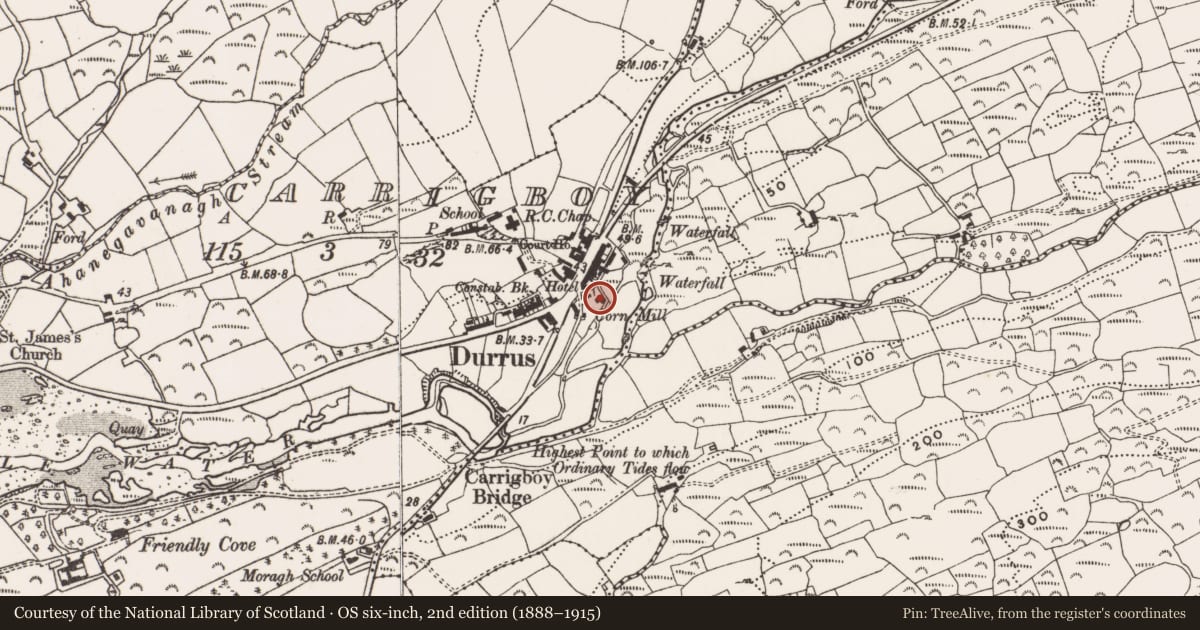 Ordnance Survey six-inch map, 2nd edition (1888–1915) covering the location of Mill - corn, Carrigboy, County Cork, with a pin at the register's coordinates