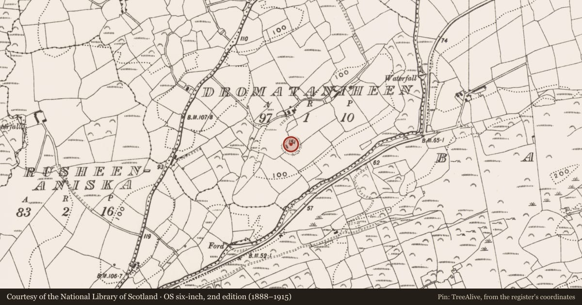 Ordnance Survey six-inch map, 2nd edition (1888–1915) covering the location of Ringfort - rath, Dromataniheen, County Cork, with a pin at the register's coordinates