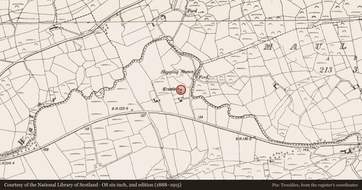 Ordnance Survey six-inch map, 2nd edition (1888–1915) covering the location of Standing stone - pair, Ballycommane, County Cork, with a pin at the register's coordinates