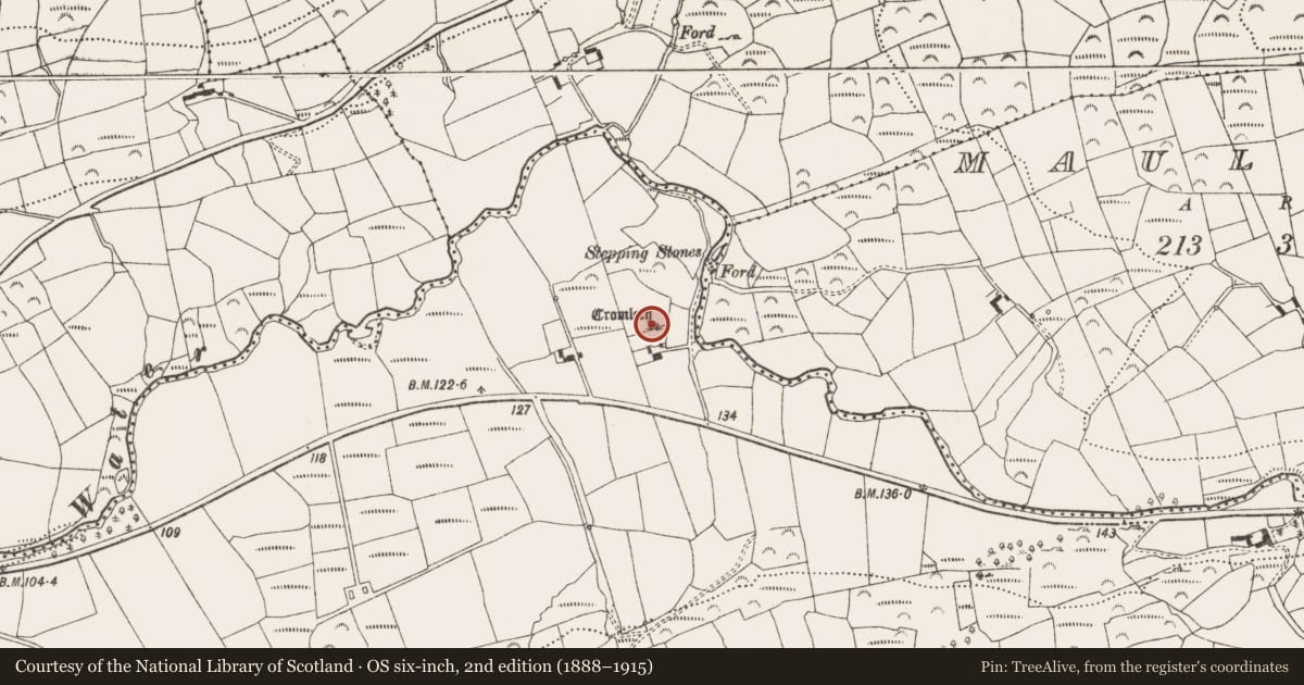 Ordnance Survey six-inch map, 2nd edition (1888–1915) covering the location of Boulder-burial, Ballycommane, County Cork, with a pin at the register's coordinates