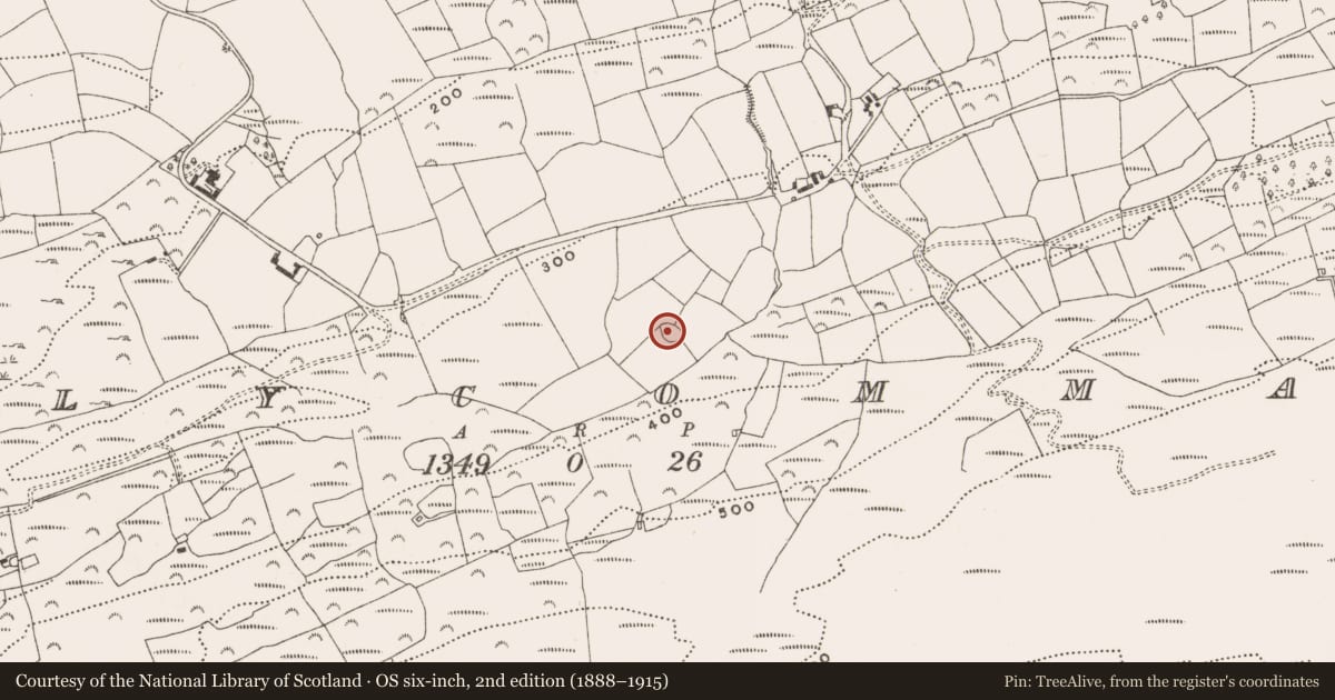 Ordnance Survey six-inch map, 2nd edition (1888–1915) covering the location of Ringfort - rath, Ballycommane, County Cork, with a pin at the register's coordinates