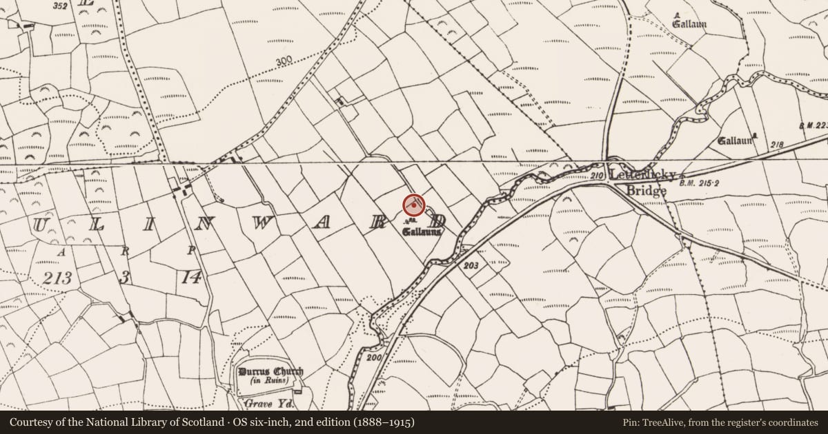Ordnance Survey six-inch map, 2nd edition (1888–1915) covering the location of Cairn - unclassified, Maulinward, County Cork, with a pin at the register's coordinates