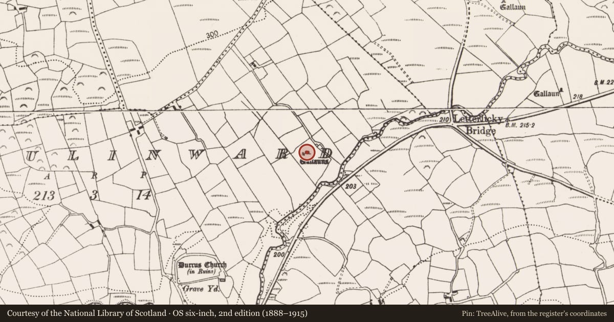 Ordnance Survey six-inch map, 2nd edition (1888–1915) covering the location of Stone row, Maulinward, County Cork, with a pin at the register's coordinates