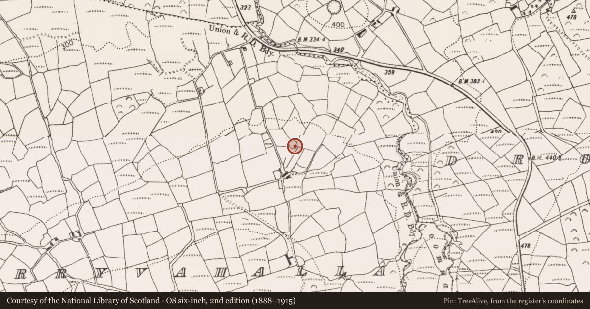 Ordnance Survey six-inch map, 2nd edition (1888–1915) covering the location of Ringfort - rath, Derryvahalla, County Cork, with a pin at the register's coordinates