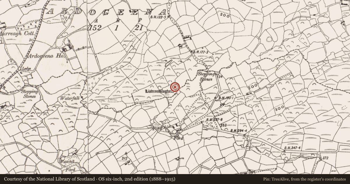 Ordnance Survey six-inch map, 2nd edition (1888–1915) covering the location of Enclosure, Ardogeena, County Cork, with a pin at the register's coordinates