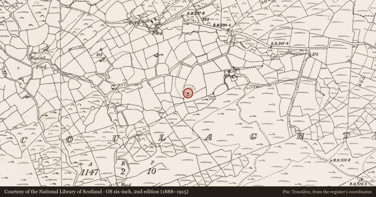 Ordnance Survey six-inch map, 2nd edition (1888–1915) covering the location of Ringfort - rath, Coolcoulaghta, County Cork, with a pin at the register's coordinates