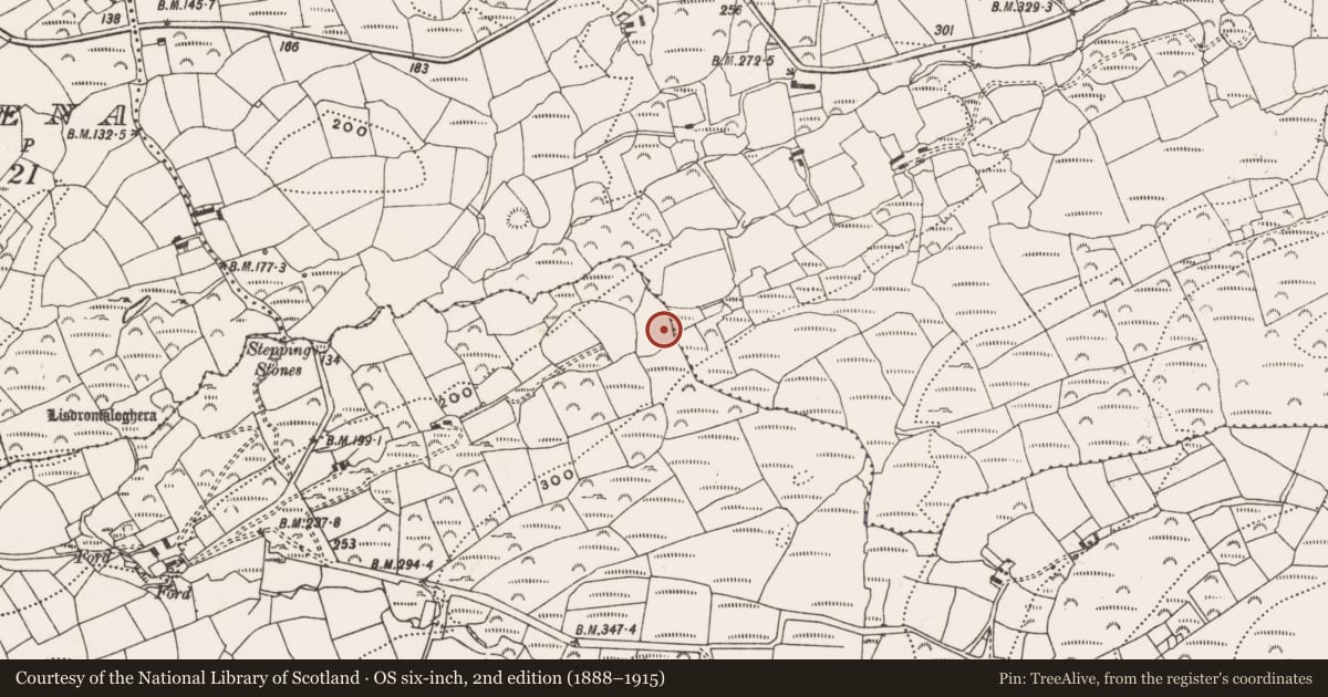 Ordnance Survey six-inch map, 2nd edition (1888–1915) covering the location of Fulacht fia, Coolcoulaghta, County Cork, with a pin at the register's coordinates