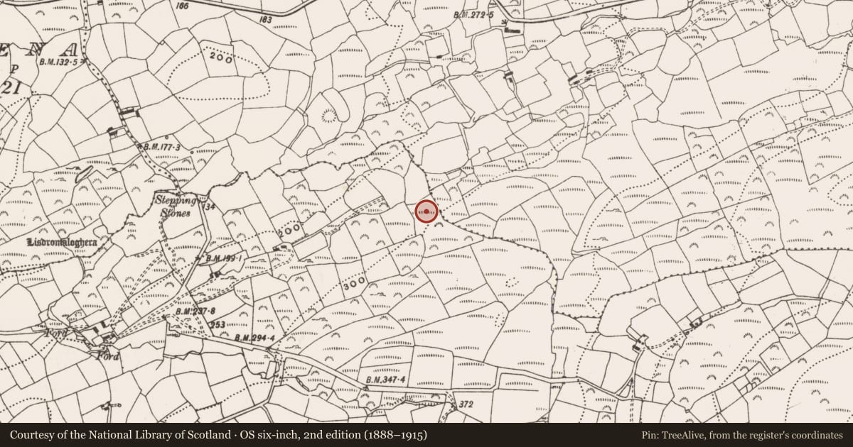 Ordnance Survey six-inch map, 2nd edition (1888–1915) covering the location of Fulacht fia, Coolcoulaghta, County Cork, with a pin at the register's coordinates