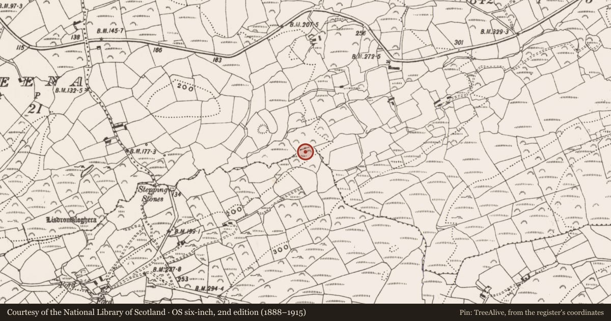 Ordnance Survey six-inch map, 2nd edition (1888–1915) covering the location of Fulacht fia, Coolcoulaghta, County Cork, with a pin at the register's coordinates