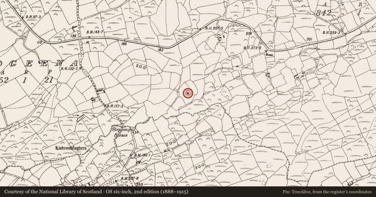 Ordnance Survey six-inch map, 2nd edition (1888–1915) covering the location of Ringfort - rath, An Drom Réidh, County Cork, with a pin at the register's coordinates