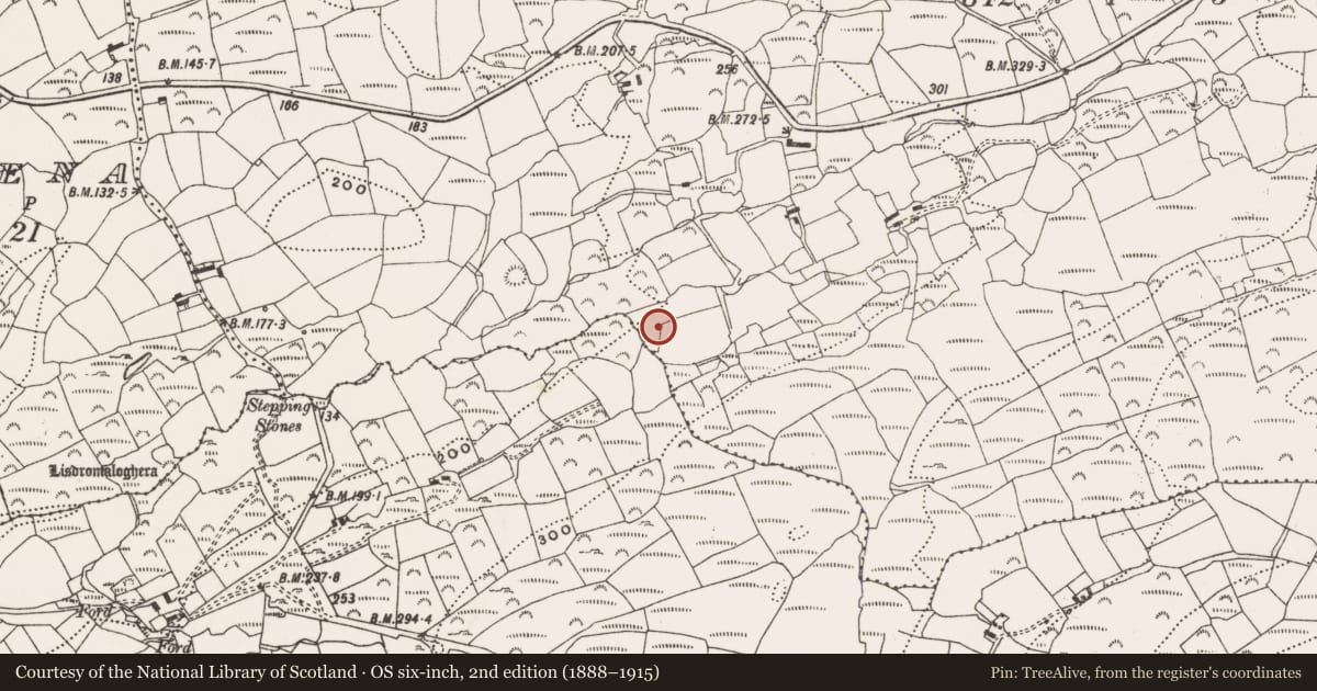 Ordnance Survey six-inch map, 2nd edition (1888–1915) covering the location of Ringfort - rath, An Drom Réidh, County Cork, with a pin at the register's coordinates