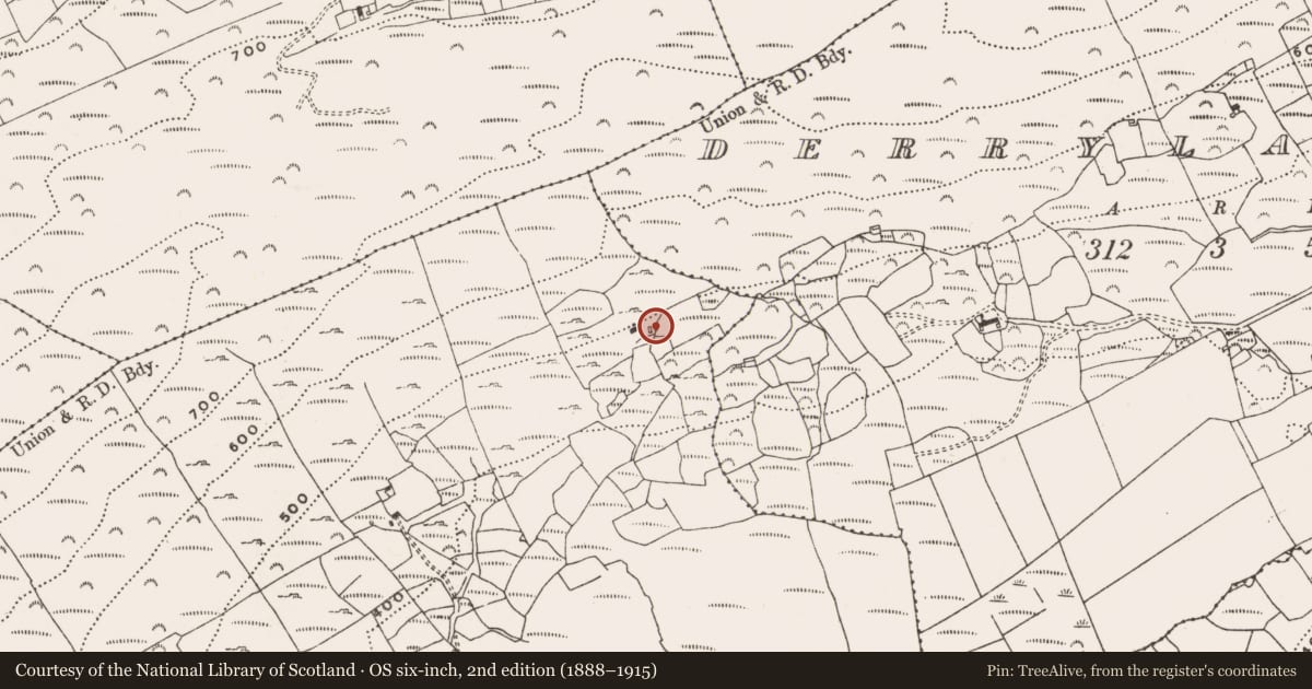 Ordnance Survey six-inch map, 2nd edition (1888–1915) covering the location of Enclosure, Lisheennacreagh, County Cork, with a pin at the register's coordinates