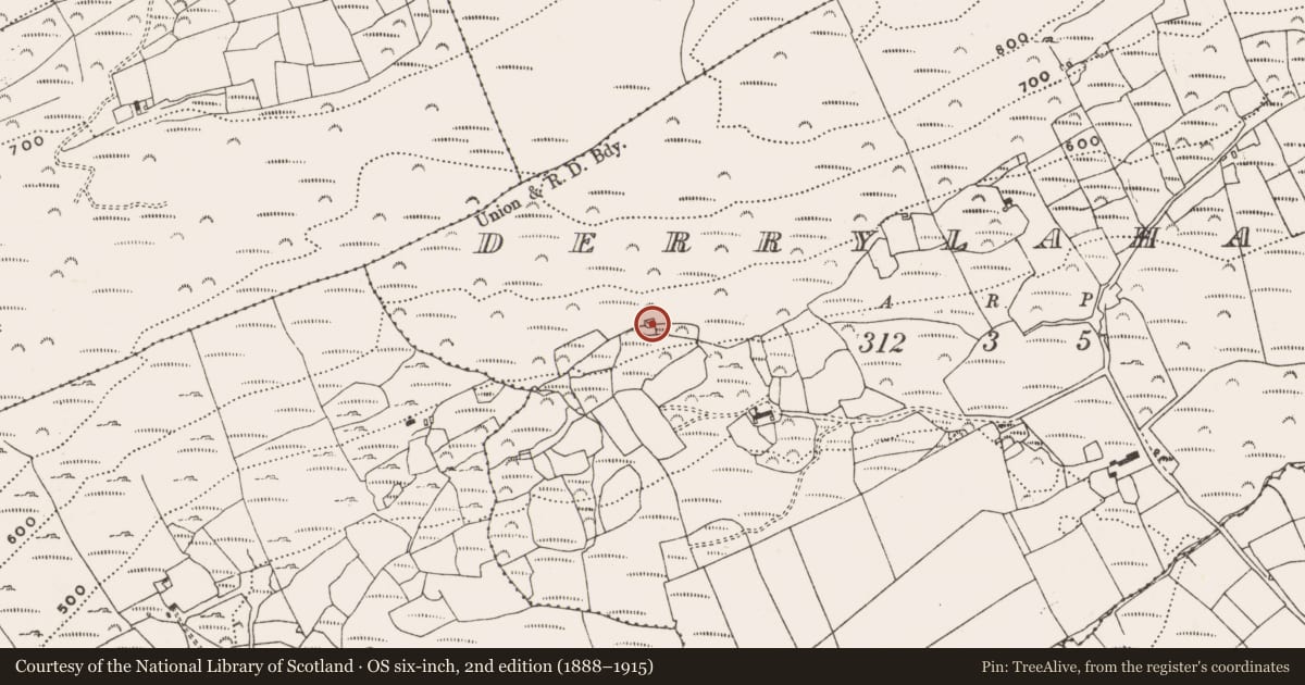 Ordnance Survey six-inch map, 2nd edition (1888–1915) covering the location of Church, Derrylahard, County Cork, with a pin at the register's coordinates