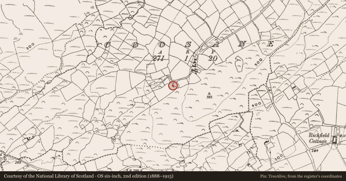 Ordnance Survey six-inch map, 2nd edition (1888–1915) covering the location of Ringfort - rath, Coosane, County Cork, with a pin at the register's coordinates