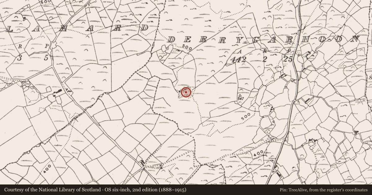 Ordnance Survey six-inch map, 2nd edition (1888–1915) covering the location of Mine - copper, Derrycarhoon, County Cork, with a pin at the register's coordinates