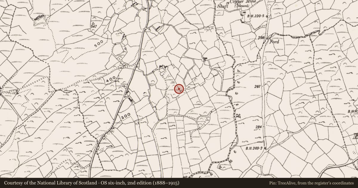 Ordnance Survey six-inch map, 2nd edition (1888–1915) covering the location of Souterrain, Derrycarhoon, County Cork, with a pin at the register's coordinates