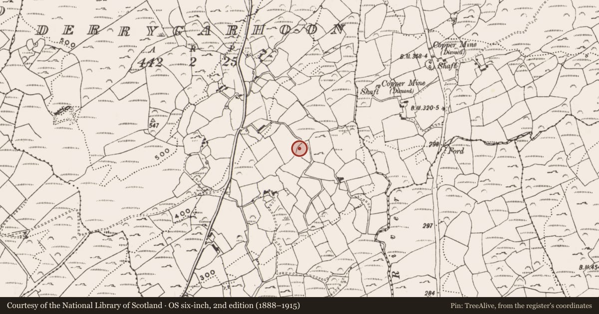 Ordnance Survey six-inch map, 2nd edition (1888–1915) covering the location of Ringfort - rath, Derrycarhoon, County Cork, with a pin at the register's coordinates