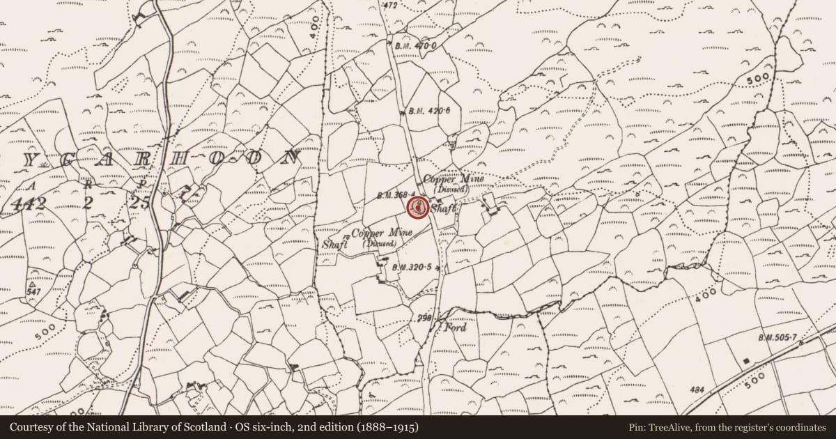 Ordnance Survey six-inch map, 2nd edition (1888–1915) covering the location of Ringfort - rath, Shronagree, County Cork, with a pin at the register's coordinates