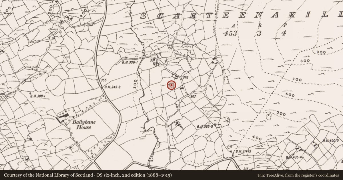 Ordnance Survey six-inch map, 2nd edition (1888–1915) covering the location of Ringfort - cashel, Scarteenakillin, County Cork, with a pin at the register's coordinates
