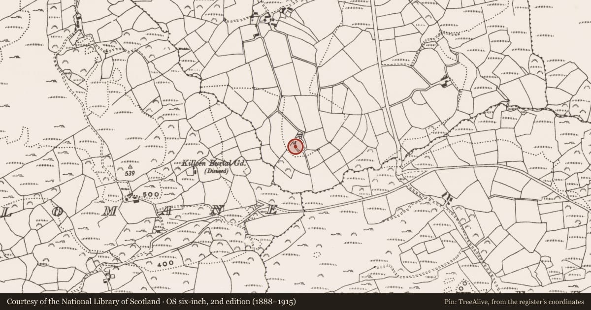 Ordnance Survey six-inch map, 2nd edition (1888–1915) covering the location of Ringfort - rath, Scrahanyleary, County Cork, with a pin at the register's coordinates