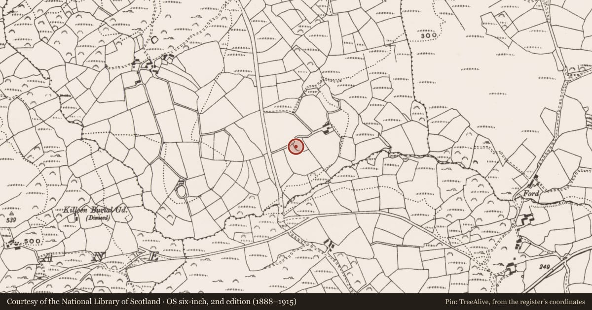 Ordnance Survey six-inch map, 2nd edition (1888–1915) covering the location of Ringfort - rath, Scrahanyleary, County Cork, with a pin at the register's coordinates