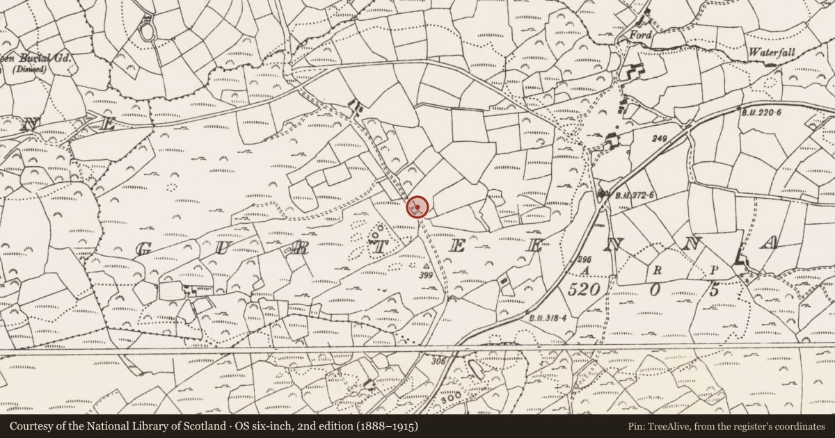 Ordnance Survey six-inch map, 2nd edition (1888–1915) covering the location of Ringfort - rath, Gurteennakilla, County Cork, with a pin at the register's coordinates