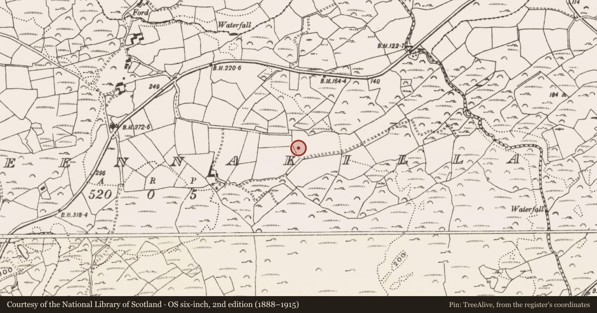 Ordnance Survey six-inch map, 2nd edition (1888–1915) covering the location of Ringfort - rath, Gurteennakilla, County Cork, with a pin at the register's coordinates