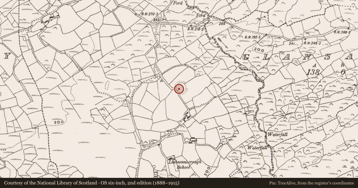 Ordnance Survey six-inch map, 2nd edition (1888–1915) covering the location of Ringfort - rath, Lisheennacreagh, County Cork, with a pin at the register's coordinates