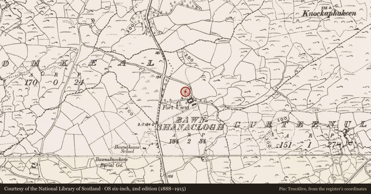 Ordnance Survey six-inch map, 2nd edition (1888–1915) covering the location of Inscribed stone, Bawnshanaclogh, County Cork, with a pin at the register's coordinates