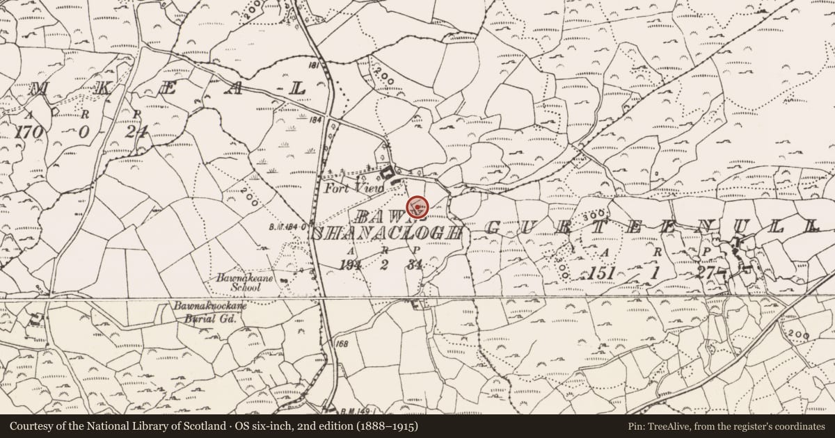 Ordnance Survey six-inch map, 2nd edition (1888–1915) covering the location of Earthwork, Bawnshanaclogh, County Cork, with a pin at the register's coordinates