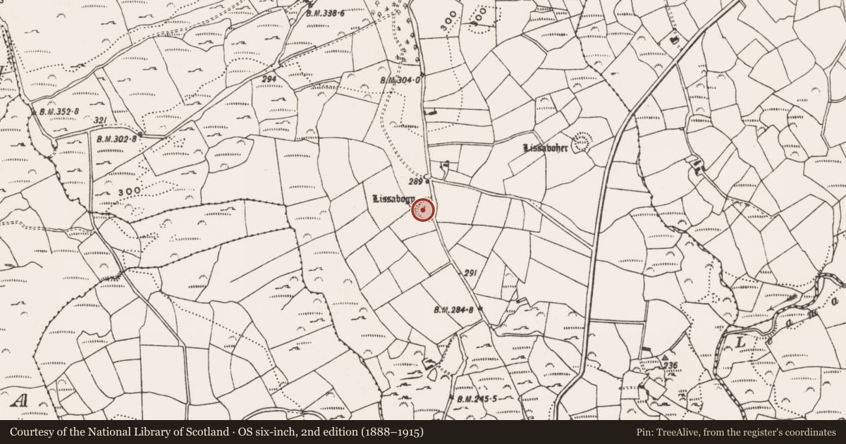 Ordnance Survey six-inch map, 2nd edition (1888–1915) covering the location of Ringfort - rath, Ballybane West, County Cork, with a pin at the register's coordinates