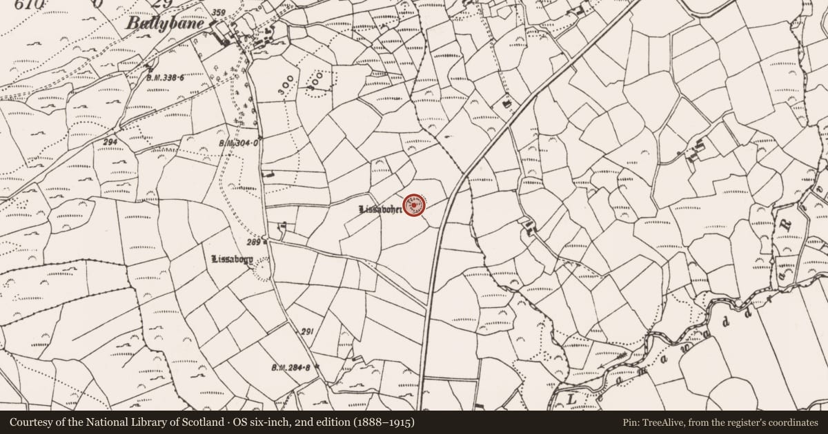 Ordnance Survey six-inch map, 2nd edition (1888–1915) covering the location of Ringfort - rath, Ballybane West, County Cork, with a pin at the register's coordinates