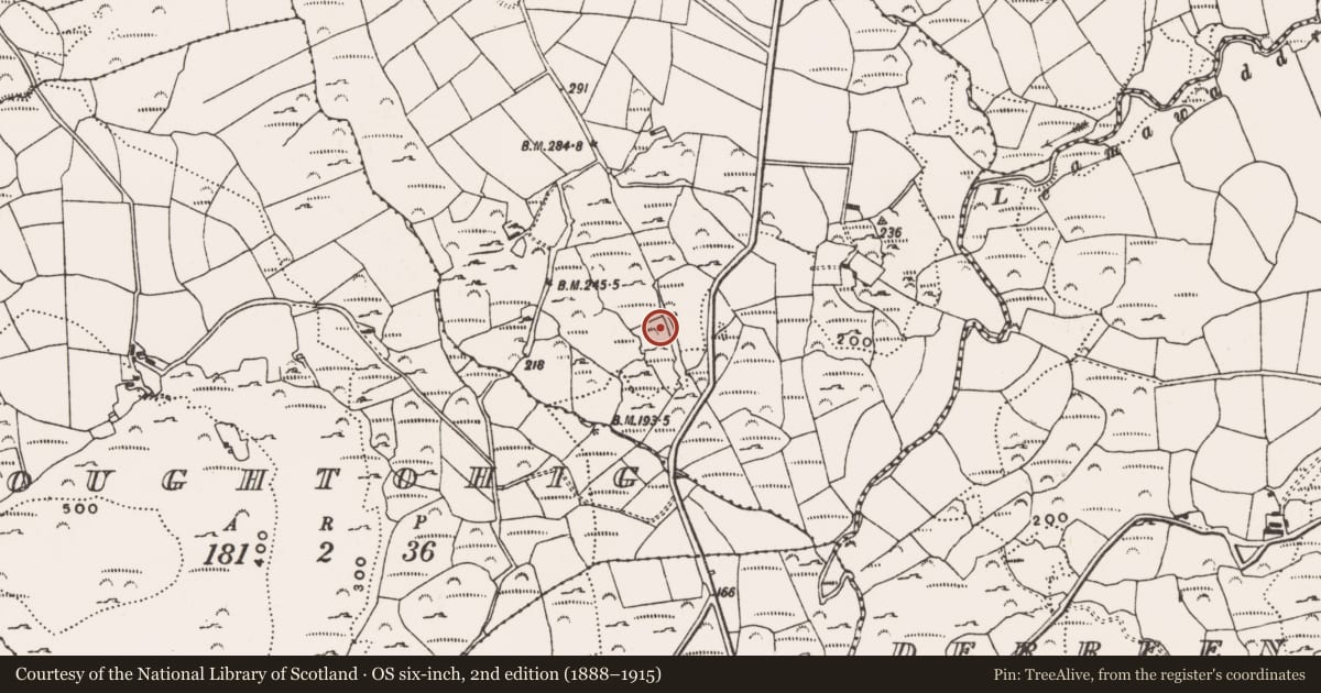 Ordnance Survey six-inch map, 2nd edition (1888–1915) covering the location of Rock art, Ballybane West, County Cork, with a pin at the register's coordinates