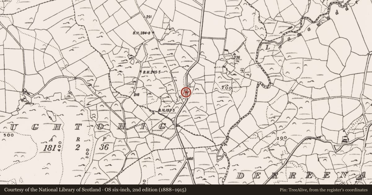 Ordnance Survey six-inch map, 2nd edition (1888–1915) covering the location of Rock art, Ballybane West, County Cork, with a pin at the register's coordinates