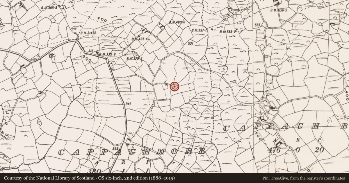 Ordnance Survey six-inch map, 2nd edition (1888–1915) covering the location of Enclosure, Cappagh More, County Cork, with a pin at the register's coordinates