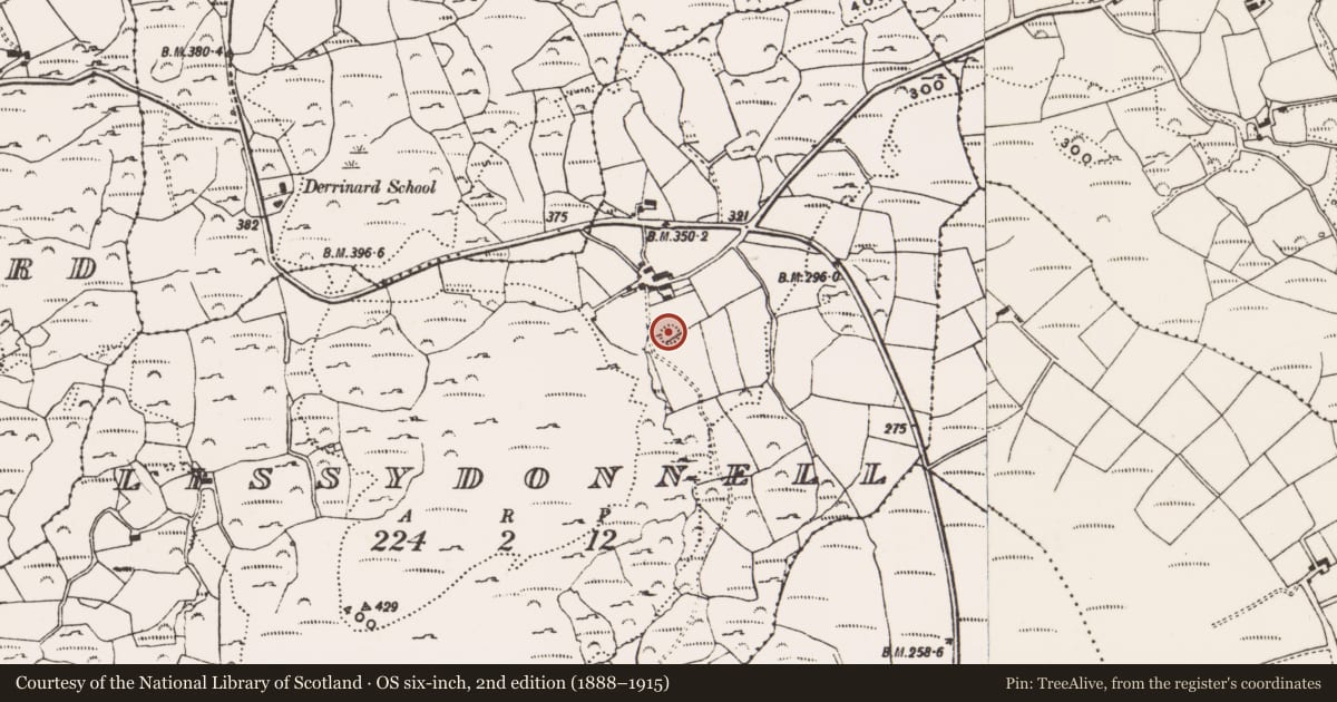 Ordnance Survey six-inch map, 2nd edition (1888–1915) covering the location of Ringfort - rath, Lissydonnell, County Cork, with a pin at the register's coordinates