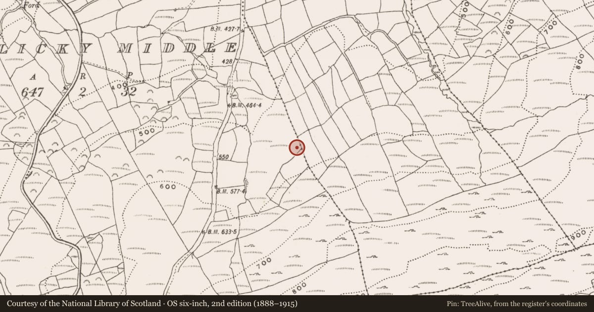 Ordnance Survey six-inch map, 2nd edition (1888–1915) covering the location of Metalworking site, Letterlicky Middle, County Cork, with a pin at the register's coordinates